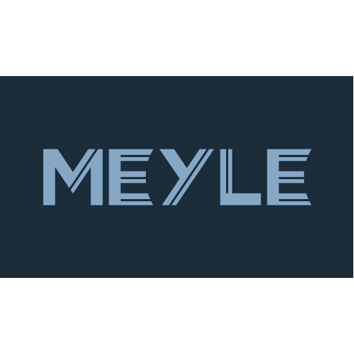 Inwerken Kundinnen und Kunden: MEYLE