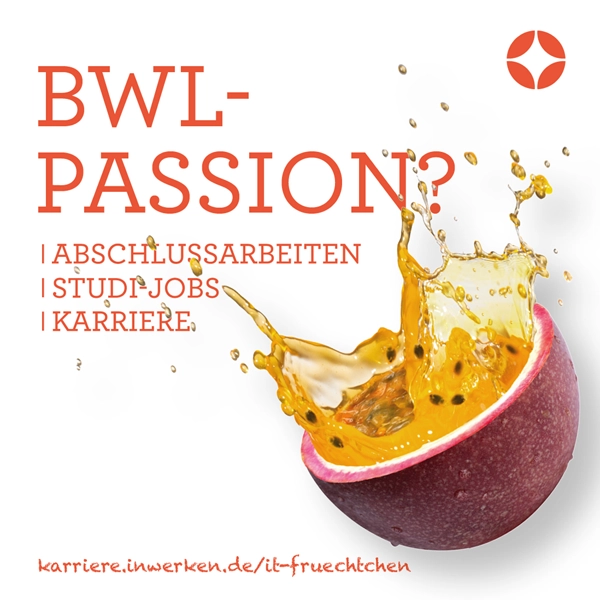 IT-Früchtchen BWL-Passion Jena: Studijobs, Karriere